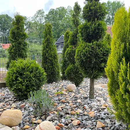 Villa Vip Kuca Banja Vrujci Popadic