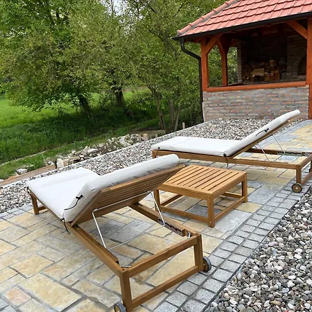 Villa Vip Kuca Banja Vrujci