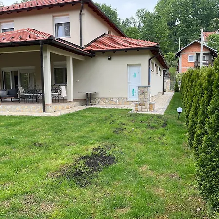 Villa Vip Kuca Banja Vrujci