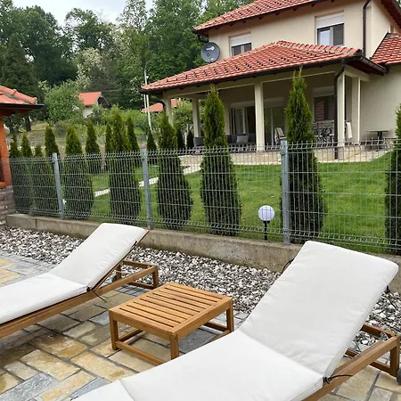 Villa Vip Kuca Banja Vrujci
