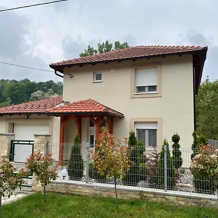 Villa Vip Kuca Banja Vrujci Popadic