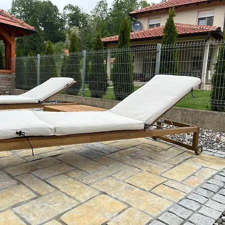 Villa Vip Kuca Banja Vrujci *