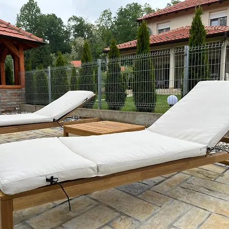 Villa Vip Kuca Banja Vrujci *
